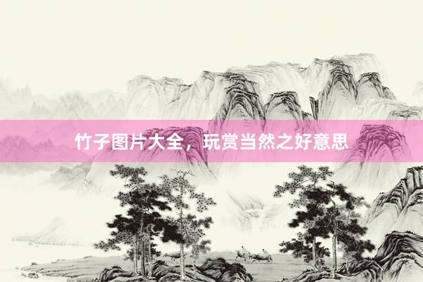 竹子图片大全，玩赏当然之好意思