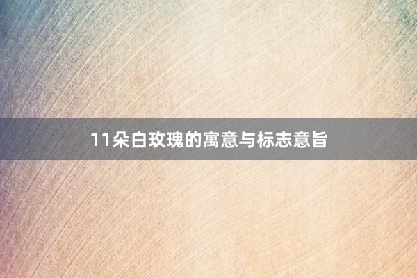 11朵白玫瑰的寓意与标志意旨